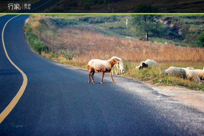 自驾草原天路 见证最后的秋天童话