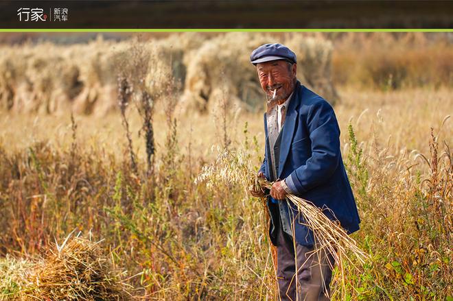 自驾草原天路 见证最后的秋天童话