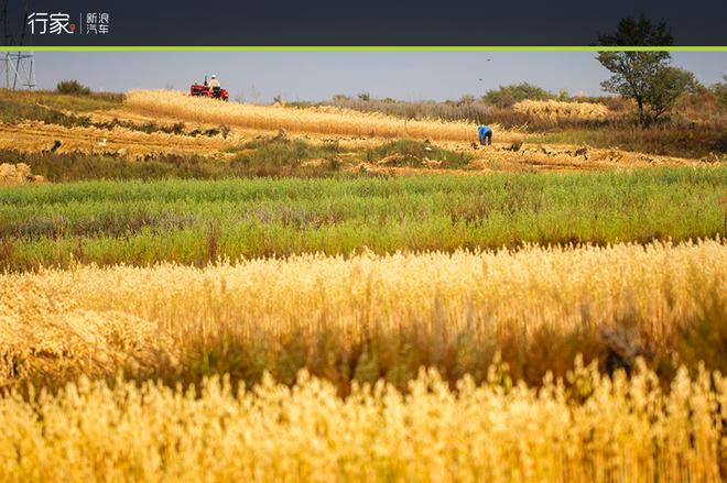 自驾草原天路 见证最后的秋天童话