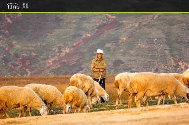 自驾草原天路 见证最后的秋天童话