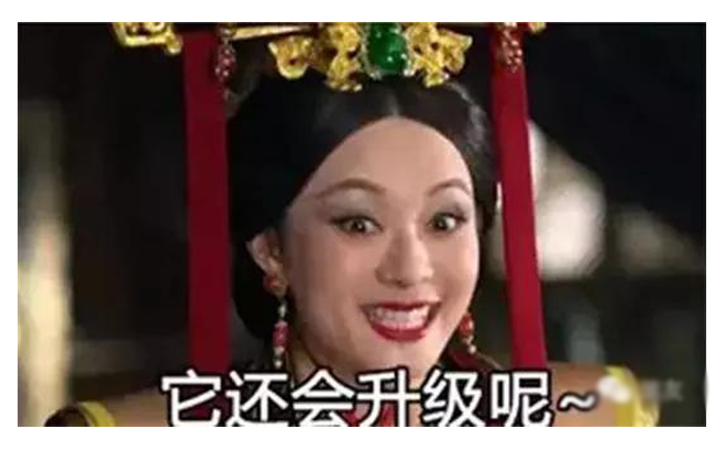 逃离霾霾霾 拒绝买买买 自驾埃及过大年