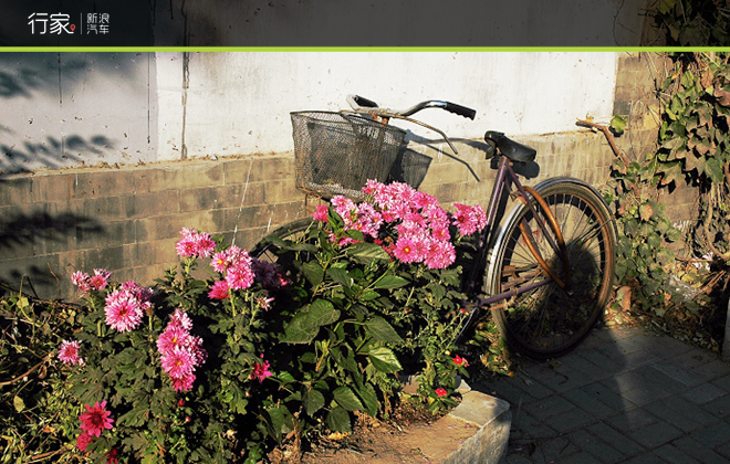 行家：高气质美女带您逛胡同品美食