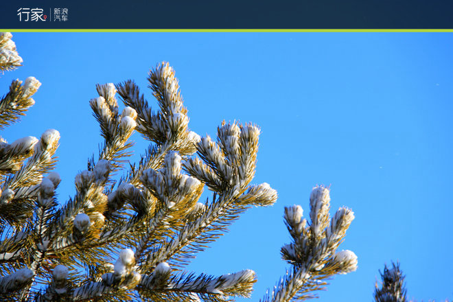 滚蛋吧雾霾君！乌兰布统雪原去撒欢好不？