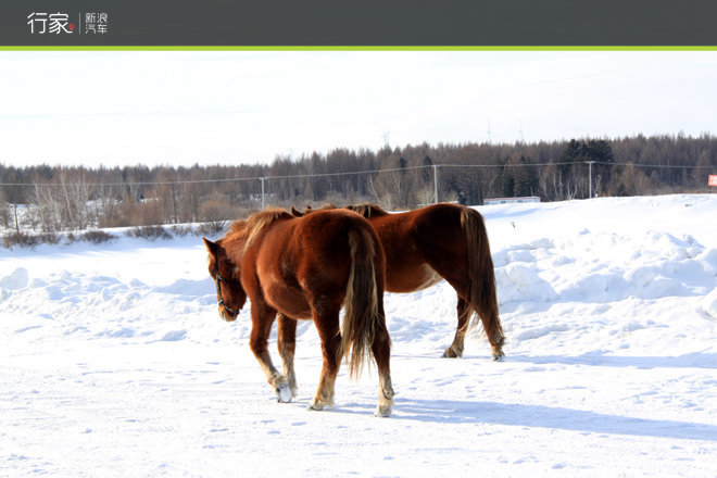 老汉推车？自驾游变身冰雪魔鬼训练营！