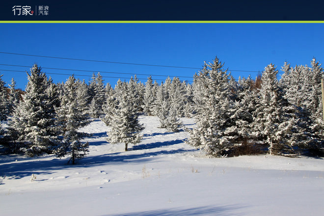 老汉推车？自驾游变身冰雪魔鬼训练营！
