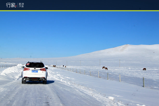 老汉推车？自驾游变身冰雪魔鬼训练营！