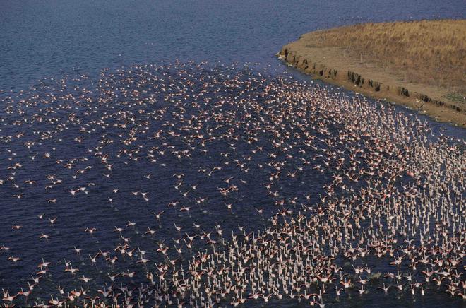 招募|35000元11天 多彩突尼斯自驾之旅