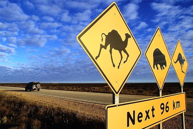 招募|花2万就能自驾澳洲12天吃大龙虾