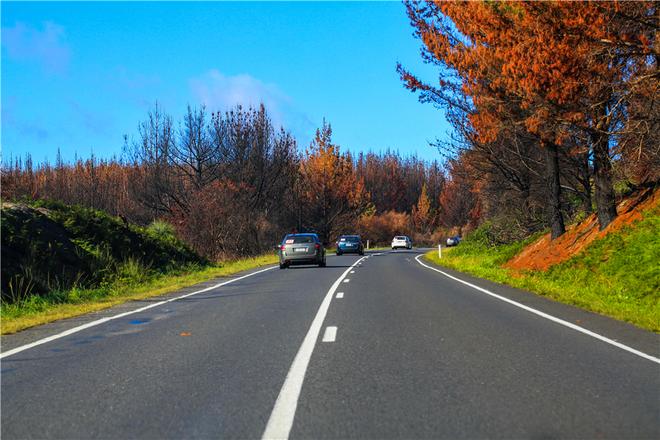 招募|花2万就能自驾澳洲12天吃大龙虾