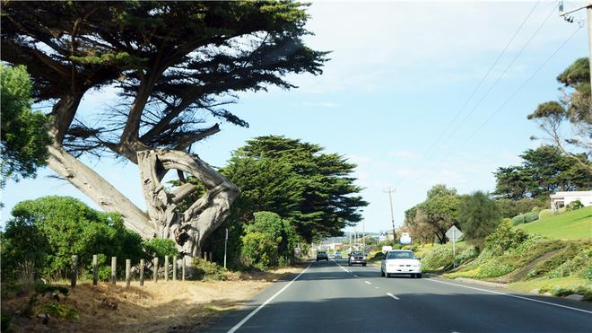 招募|花2万就能自驾澳洲12天吃大龙虾