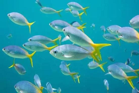 人生是一场自驾旅行 需要看懂38件事