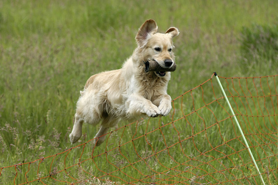 人生是一场自驾旅行 需要看懂38件事