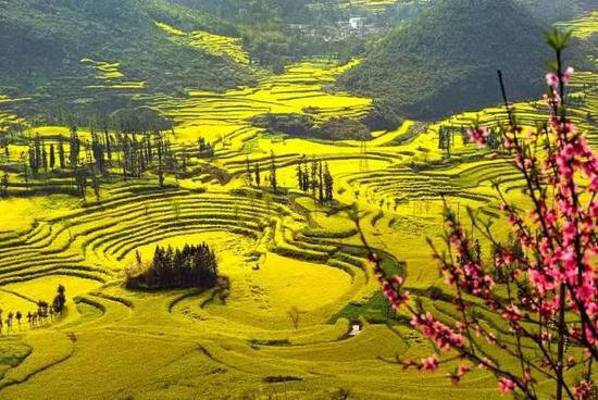 还盼着冬天逝去？自驾2月最美油菜花田吧