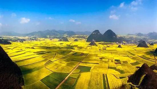 还盼着冬天逝去？自驾2月最美油菜花田吧