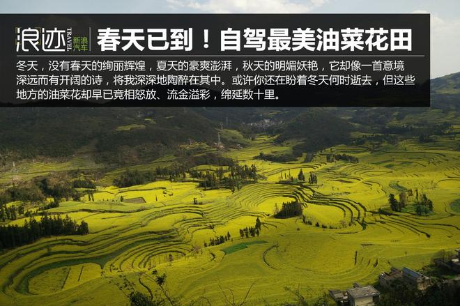 还盼着冬天逝去？自驾2月最美油菜花田吧
