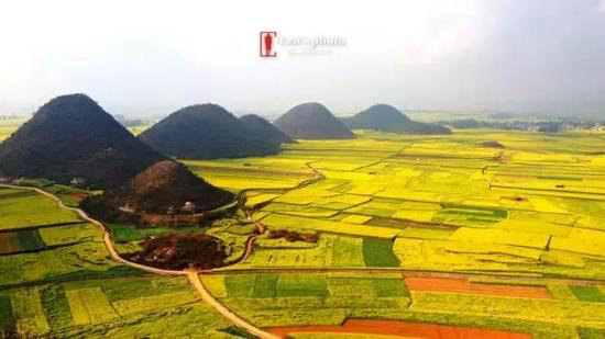 还盼着冬天逝去？自驾2月最美油菜花田吧
