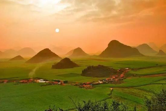 还盼着冬天逝去？自驾2月最美油菜花田吧