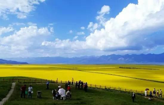 还盼着冬天逝去？自驾2月最美油菜花田吧