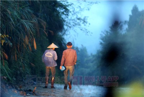 夜幕下，两名男子走在泥泞的道路上