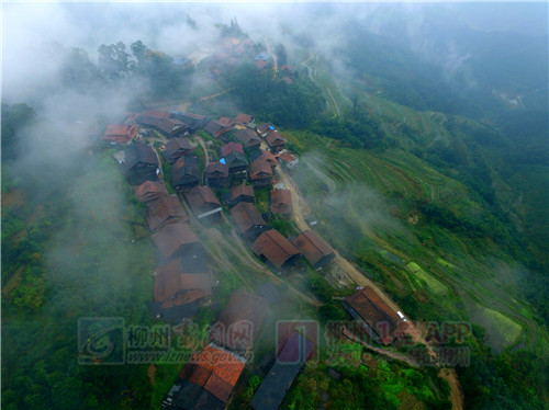 美丽的苗寨却留不住姑娘的心