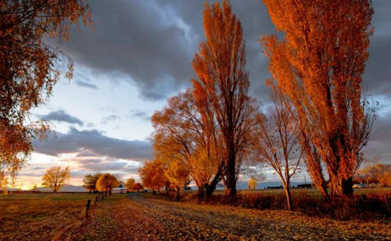 探索世界！2016年全球十大最佳自驾游路线 