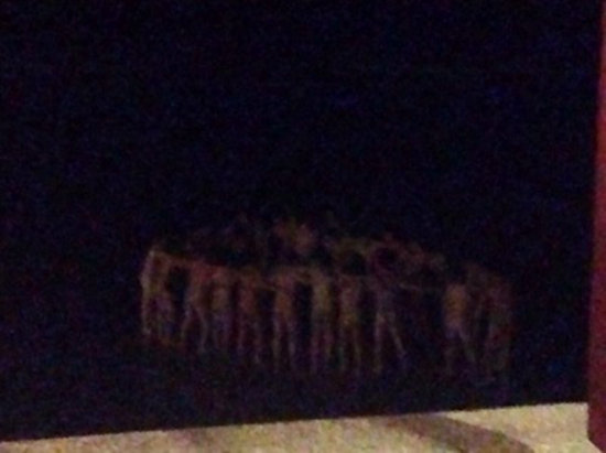 日本游客在泰裸舞 被当中国游客嘲讽批评