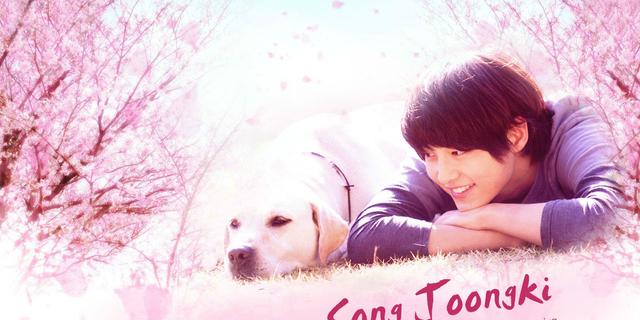 宋仲基童年女装照曝光,怎样生个漂亮娃