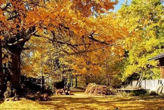 国内最浪漫的地方 你和TA自驾过几个？