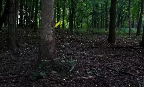 国内最浪漫的地方 你和TA自驾过几个？