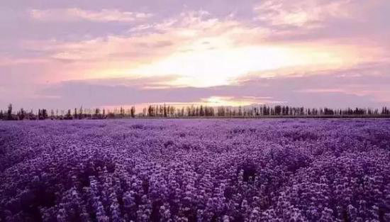 国内最浪漫的地方 你和TA自驾过几个？