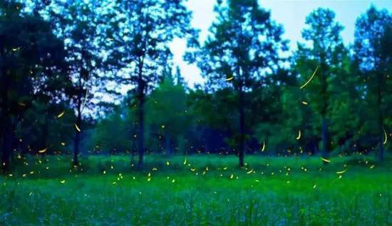 国内最浪漫的地方 你和TA自驾过几个？