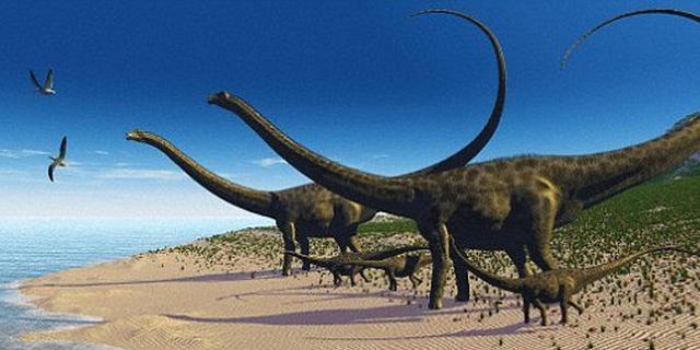 见过这么大的脚吗？世界最大恐龙脚印大到能躺人！