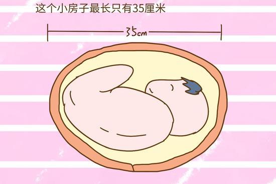 孕育一个孩子要经历漫长的十个月,我们来算个算术吧:大多数女性怀孕前