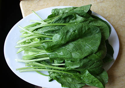 菠菜
