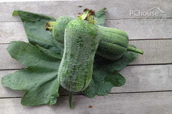 但是潮汕本地的角瓜菱角相对比较平滑,口感更为清脆.角瓜角瓜