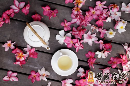 茶叶与农禅图