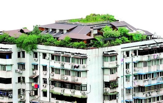 空中花园",非常像去年被曝光的北京市海淀区的人济山庄小区b栋楼顶