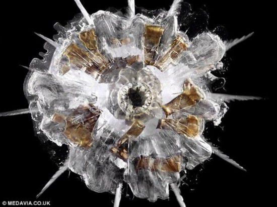 摄影师抓拍子弹射入玻璃瞬间引围观图