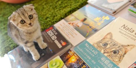 新华书店养猫咪陪你选书喝咖啡