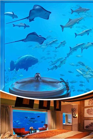 迪拜棕榈岛亚特兰蒂斯酒店