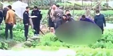 岳阳16岁少女放学后失踪裸死离家80米菜地