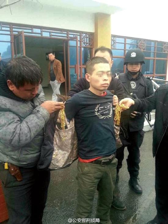 灵宝持枪抢劫金店案告破 犯罪嫌疑人贵州落网