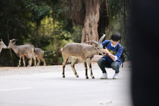 李宇春