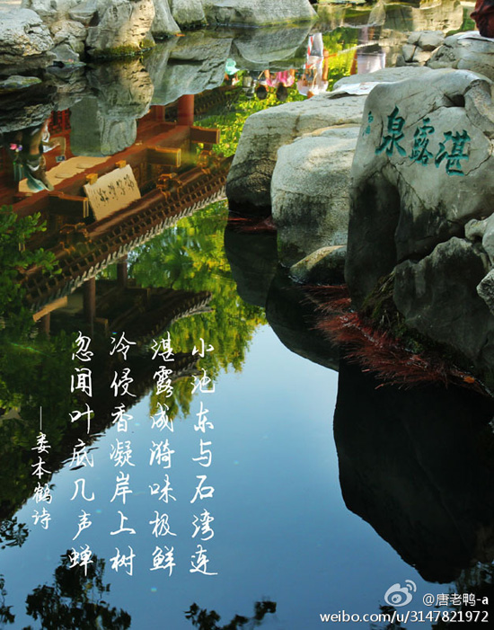 湛露泉(图:@唐老鸭-a)