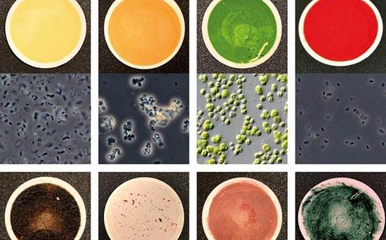 找外星生命看星球颜色就行:科学家发色彩图鉴