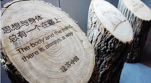 时候飞翔得累了,并不企望能够停下来歇息的枝头能有多么的豪华和奢侈