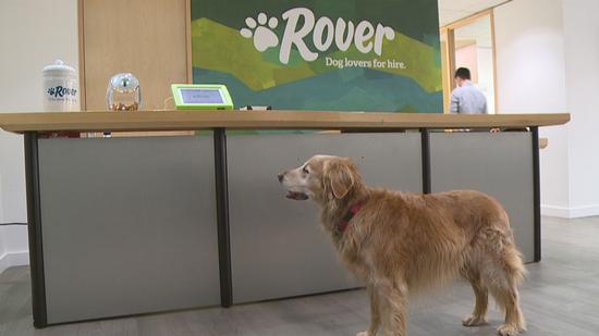 宠物寄养网站Rover融资2500万美元