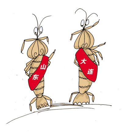 大连本地虾爬子抢占市场逐渐上市