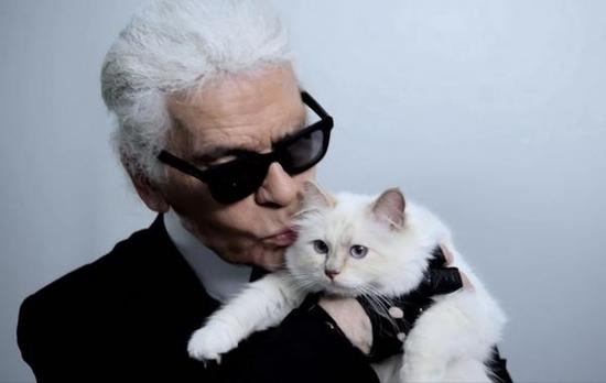 最典型的例子当属"老佛爷"karl lagerfeld和他的爱猫choupette
