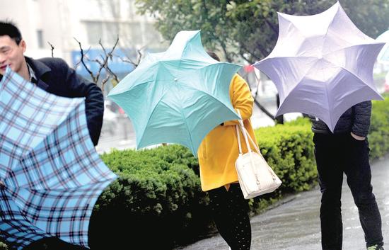 郑州大风掀翻梧桐树吹碎玻璃 屋顶被刮飞挂树上